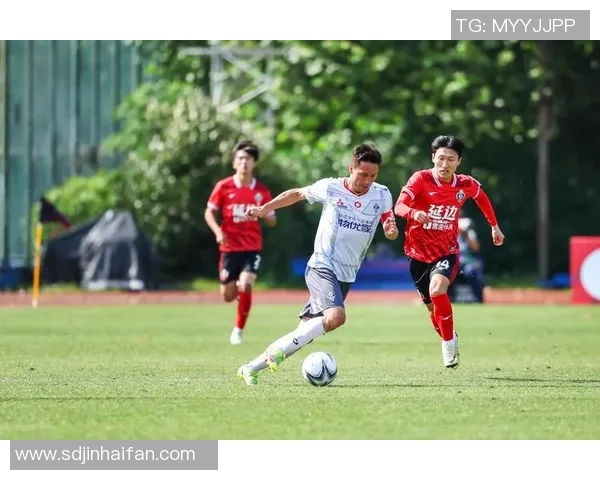 深圳足球队实力大提升引发热议球迷期待新篇章